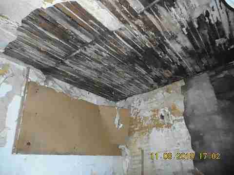 2447 Clements (26)_m.jpg